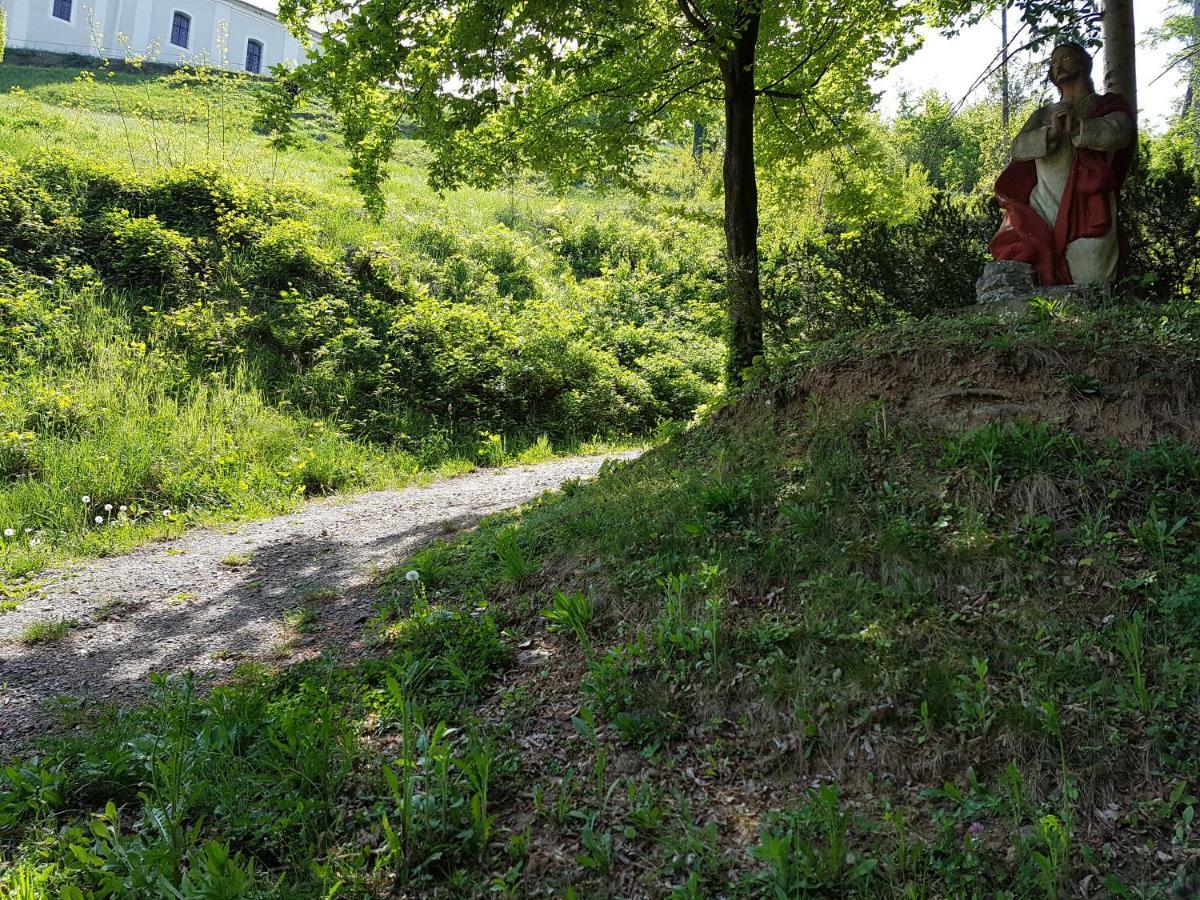 Gasthof Restaurant Steirereck'N Schwanberg Esterno foto